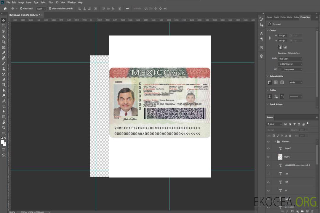 Visa Mexique template Visa Mexique template